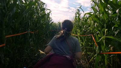 Edmonton Corn Maze