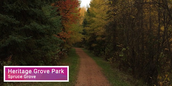 Heritage Grove Park - Spruce Grove